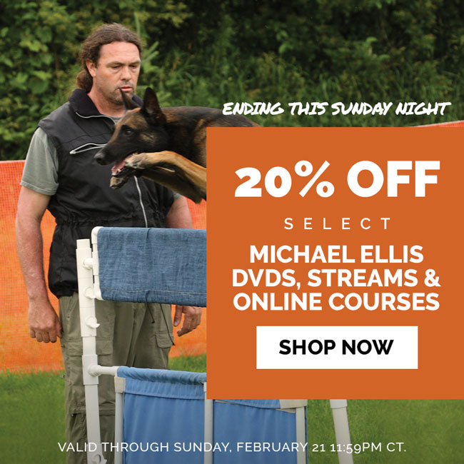 ENDING SOON: 20% OFF ALL Michael Ellis DVDs, Streams and Online Courses