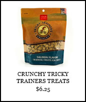 Crunchy Tricky Trainers Treats
