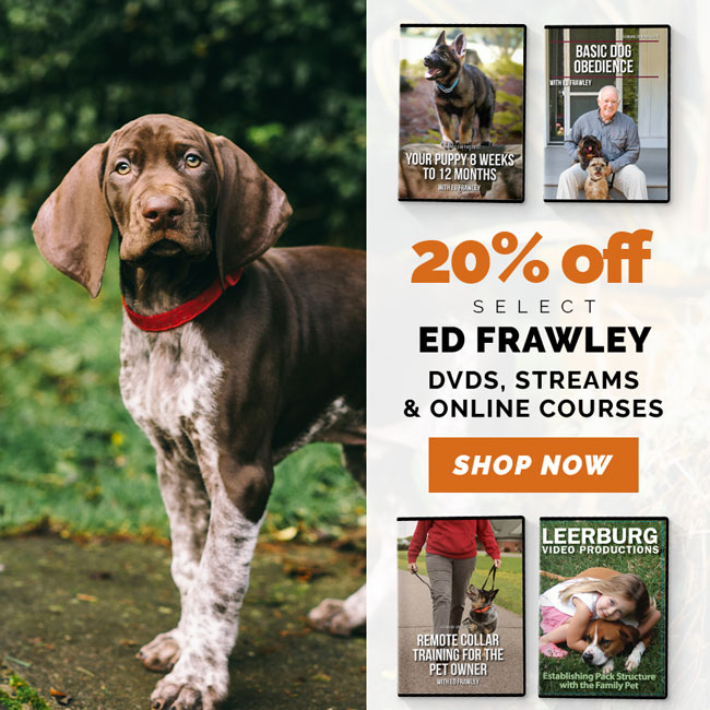 ENDING SOON: 20% OFF Select Ed Frawley DVDs, Streams and Online Courses