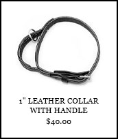 1in Leather Collar with Handle