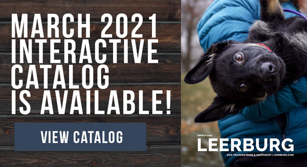 Now Available: March 2021 Interactive Catalog