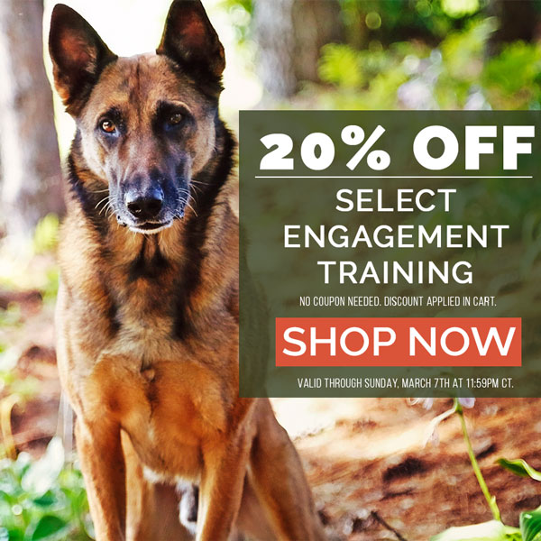 20% off Select Ed Frawley Training DVDs, Streams and Online Courses