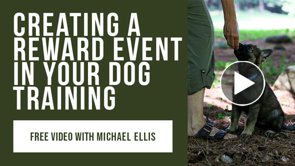 Video: Creating A Reward Event in Your Dog Training with Michael Ellis
