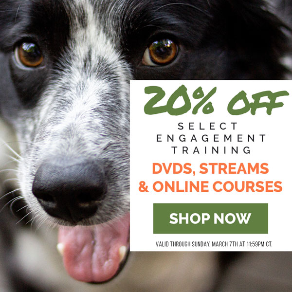 ENDING SOON: 20% OFF Select Engagment Training DVDs, Streams and Online Courses