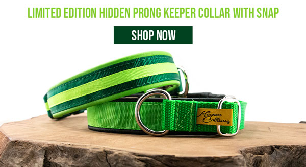 Now Available: Limited Edition Hidden Prong Keeper Collar with Snap