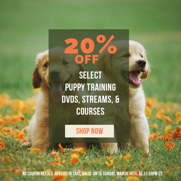 20% off Select Puppy Training DVDs, Streams and Online Courses