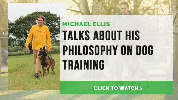 Video: Michael Ellis Talks About His Philosophy on Dog Training