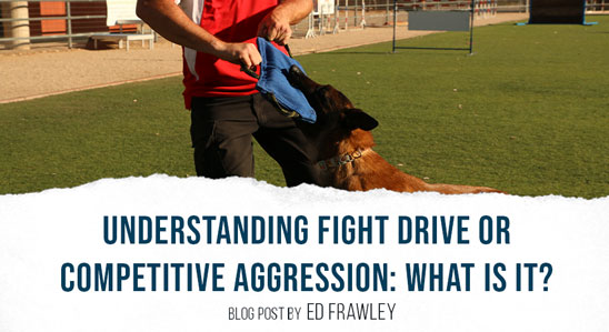 Understanding Fight Drive or Competitive Aggression: What is it?