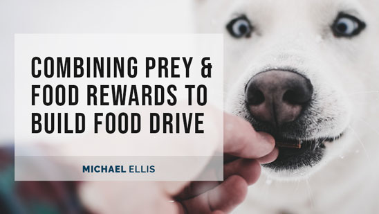 Video: Combining Prey and Food Rewards to Build Food Drive with Michael Ellis