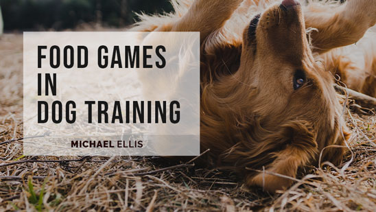 Video: Food Games in Dog Training with Michael Ellis