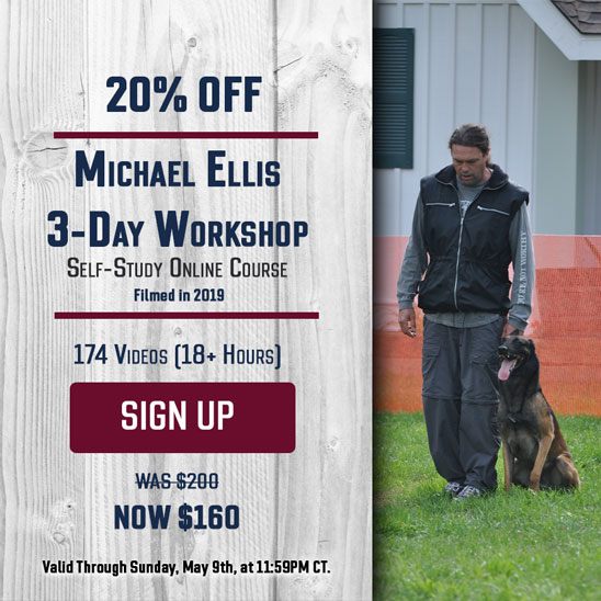 20% Off Michael Ellis 3-Day Workshop
