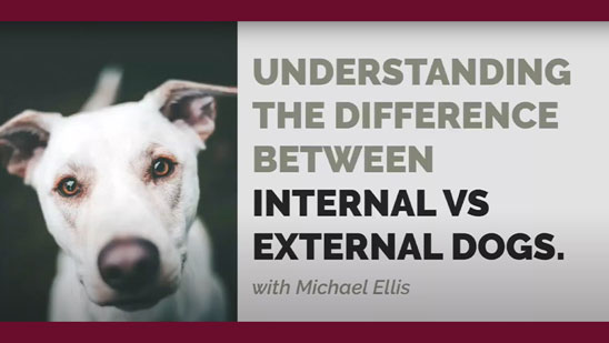Video: Understanding the Difference Between Internal and External Dogs with Michael Ellis
