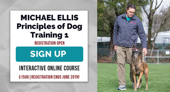 Principles of Dog Training 1 with Michael Ellis