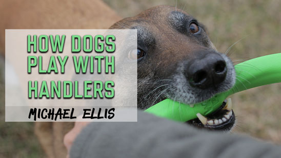 Video: Michael Ellis Talks on How Dogs with Different Temperaments Play with Their Handlers