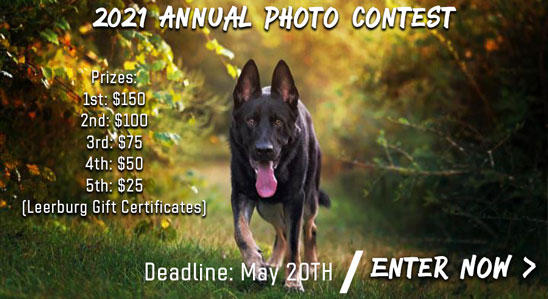 2021 Annual Photo Contest