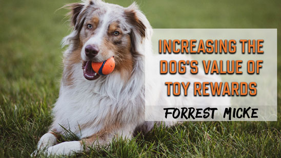 Video: Increasing the Dog's Value of Toy Rewards with Forrest Micke