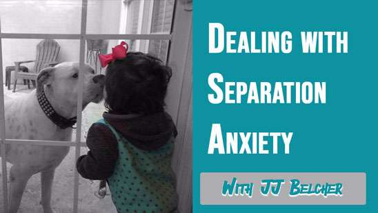 Video: Dealing with Separation Anxiety with JJ Belcher