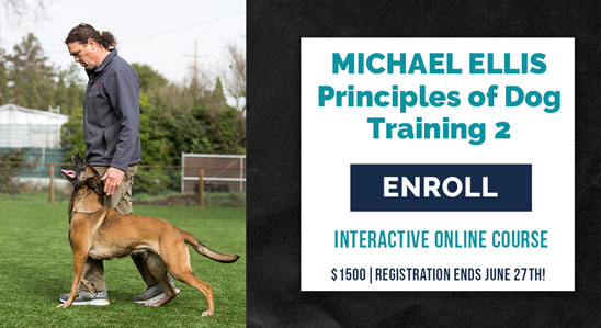 Principles of Dog Training 2 with Michael Ellis
