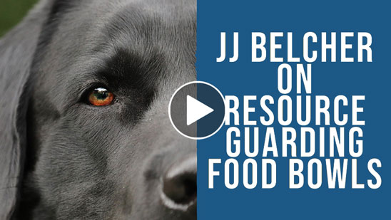Video: JJ Belcher on Resource Guarding Food Bowls