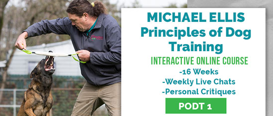 Principles of Dog Training 1 with Michael Ellis