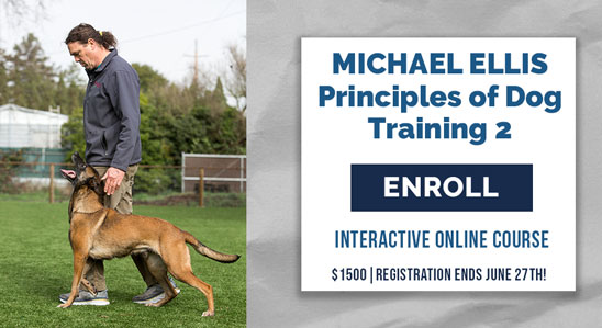 Principles of Dog Training 2 with Michael Ellis