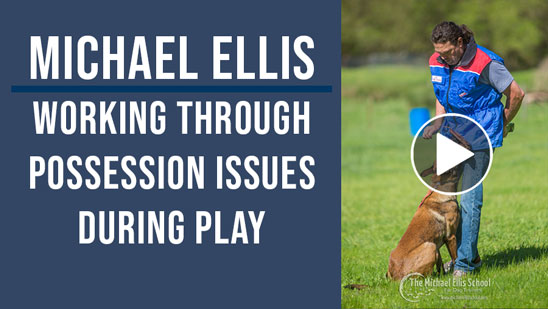 Video: Working Through Possession Issues During Play with Michael Ellis