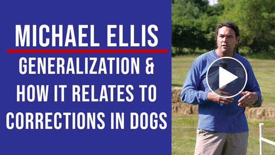 Video: Michael Ellis on Generalization and How it Relates to Corrections in Dogs