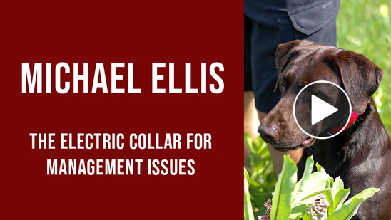 Video: Michael Ellis on Using the Electric Collar for Management Issues