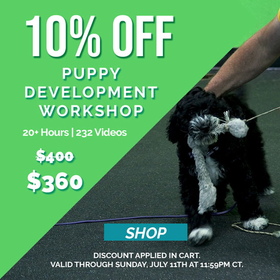 10% OFF Puppy Development Workshop
