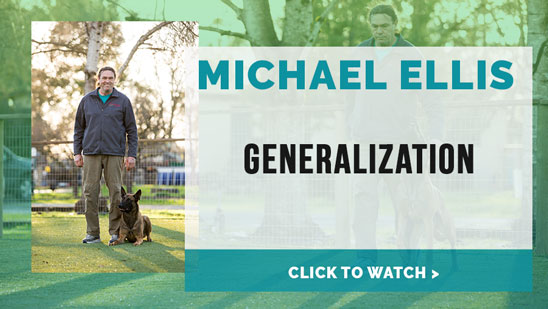 Video: Michael Ellis on Generalization