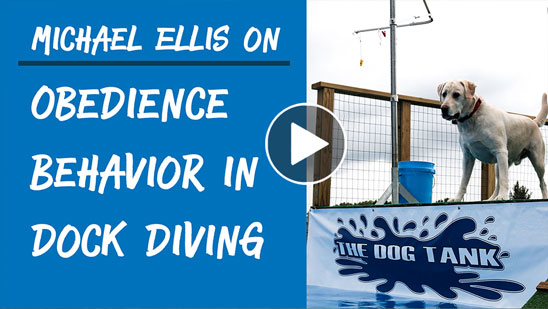 Video: Michael Ellis on Obedience Behavior in Dock Diving
