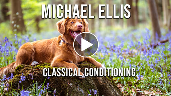 Video: Michael Ellis on Classical Conditioning