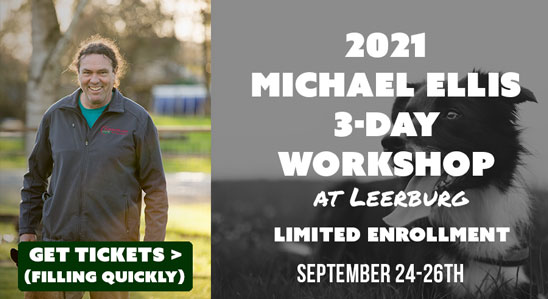 3-Day Workshop at Leerburg 2021 - Michael Ellis Seminar