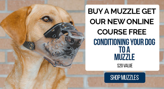 Free Muzzle Conditioning Course