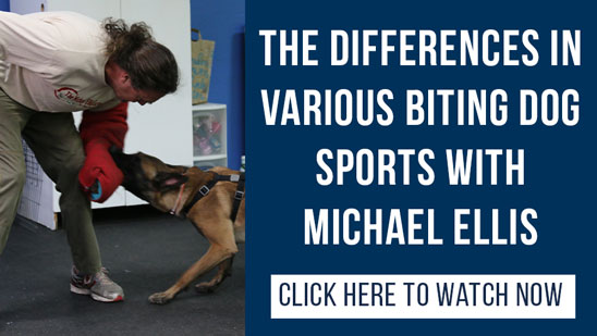 Video: The Differences in the Various Biting Dog Sports with Michael Ellis