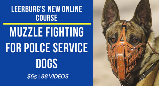 New! Muzzle Fighting Online Course