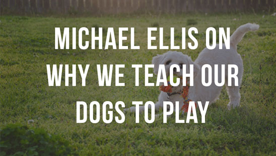 Video: Michael Ellis on Teething Puppies