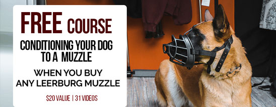 Free Muzzle Conditioning Course