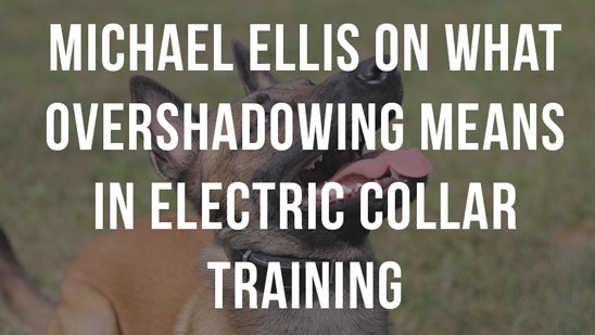 Video: Advanced Contact Heeling with Michael Ellis