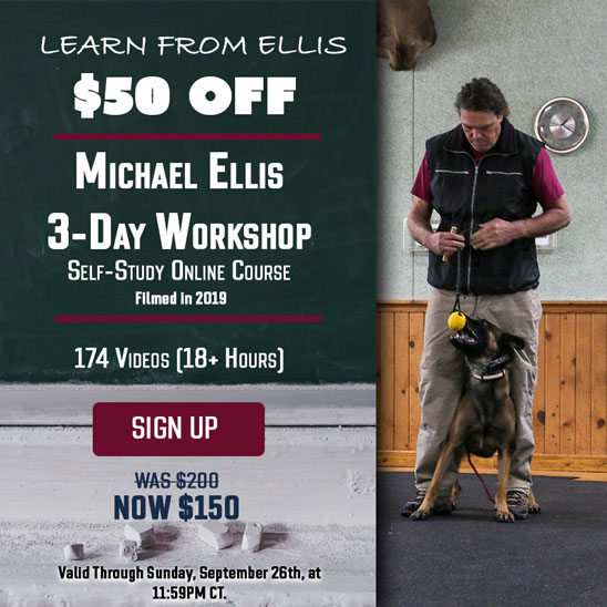 25% OFF Three Day Michael Ellis Workshop