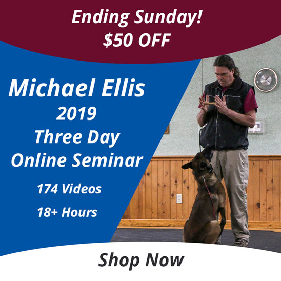 $50 OFF Michael Ellis Three Day Workshop