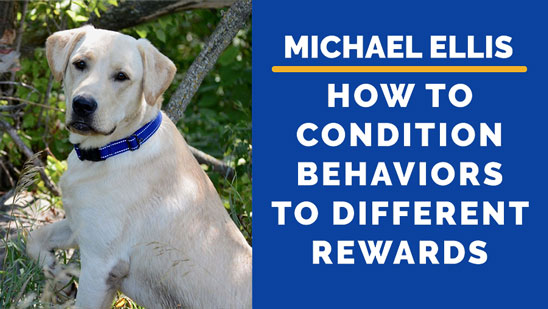 Video: Michael Ellis on How to Condition Behaviors to Different Rewards