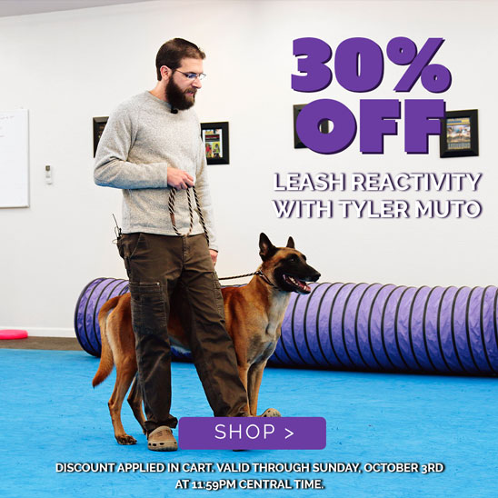 25% OFF Leash Reactivity with Tyler Muto