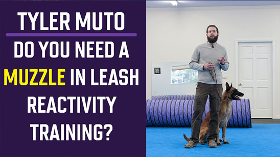 Video: Tyler Muto on Do You Need a Muzzle in Leash Reactivity Training?