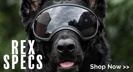 New Product - Rex Specs