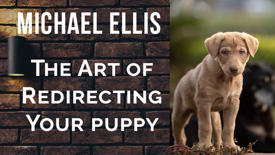 Video: Michael Ellis on The Art of Redirecting Your Puppy