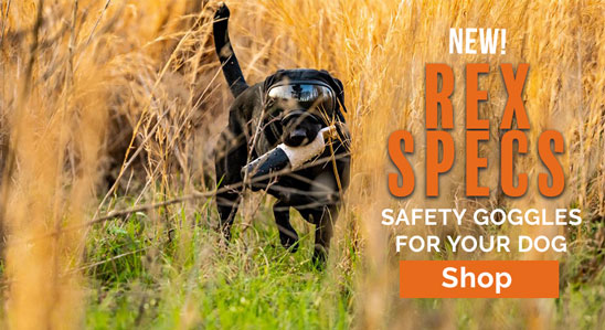 New Product - Rex Specs: Safety Googles for Your Dog