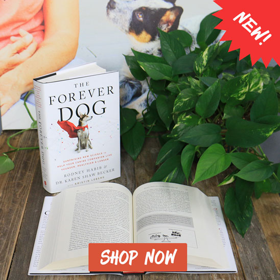 New Book - The Forever Dog
