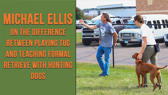 Video: Michael Ellis on The difference between Playing Tug and teaching formal retrieve with Hunting Dogs