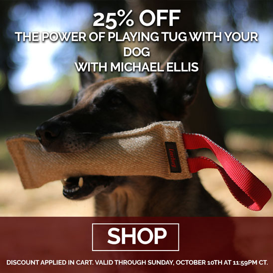 25% OFF The Power of Playing Tug with Your Dog